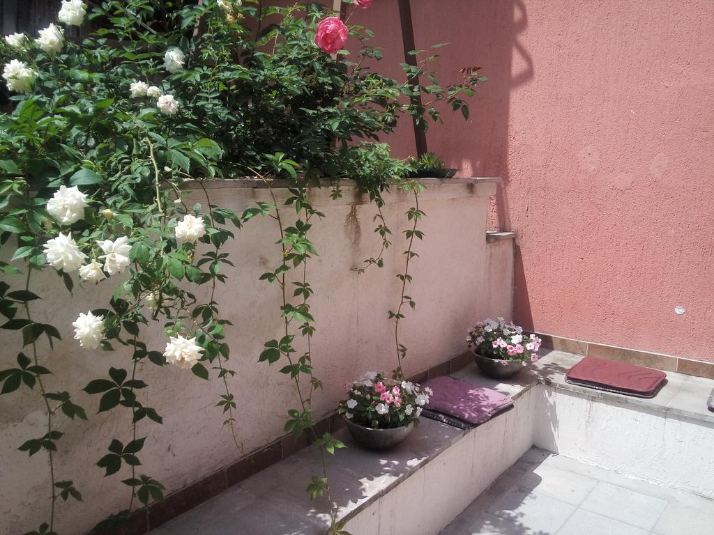 Zemoon Apartment Belgrad Dış mekan fotoğraf