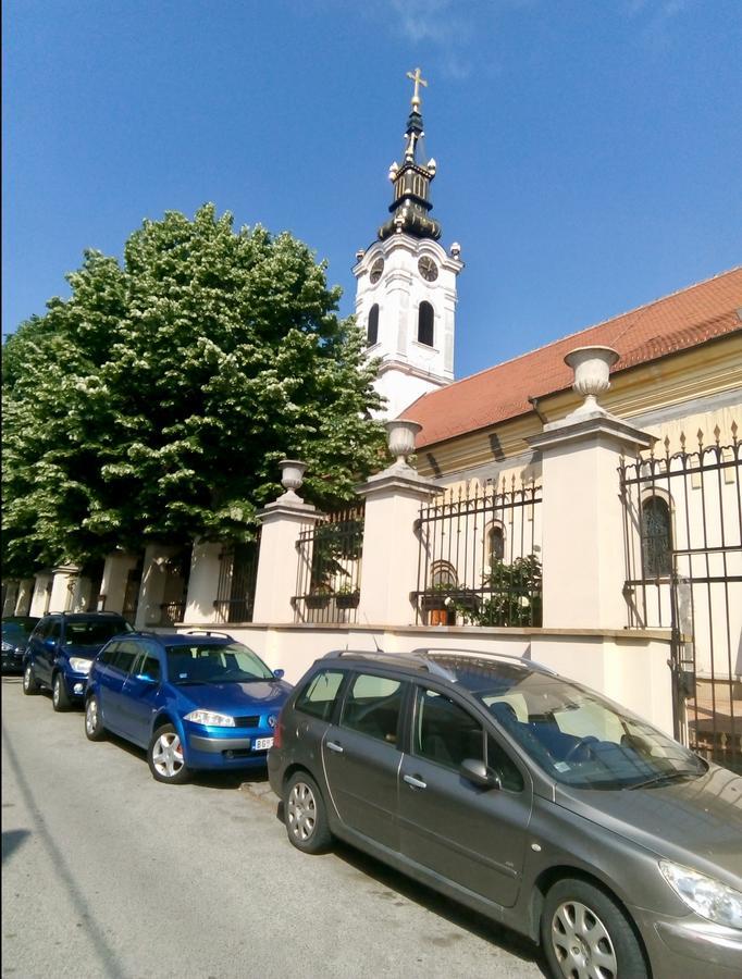 Zemoon Apartment Belgrad Dış mekan fotoğraf